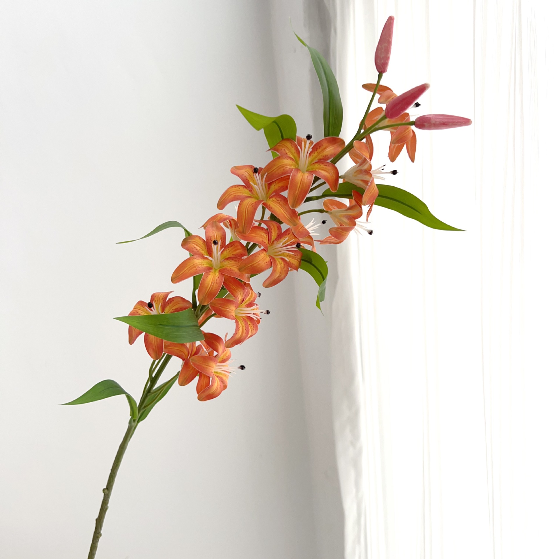 오렌지 느낌의 사유리