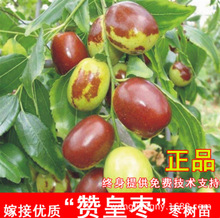 ���痗�����������ϱ������Ե���ͥԺ���������箔��Y��