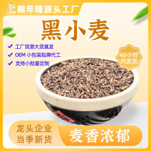 黑小麦当季新米营养粥磨面粗粮五谷杂粮原料散装现货黑小麦仁批发