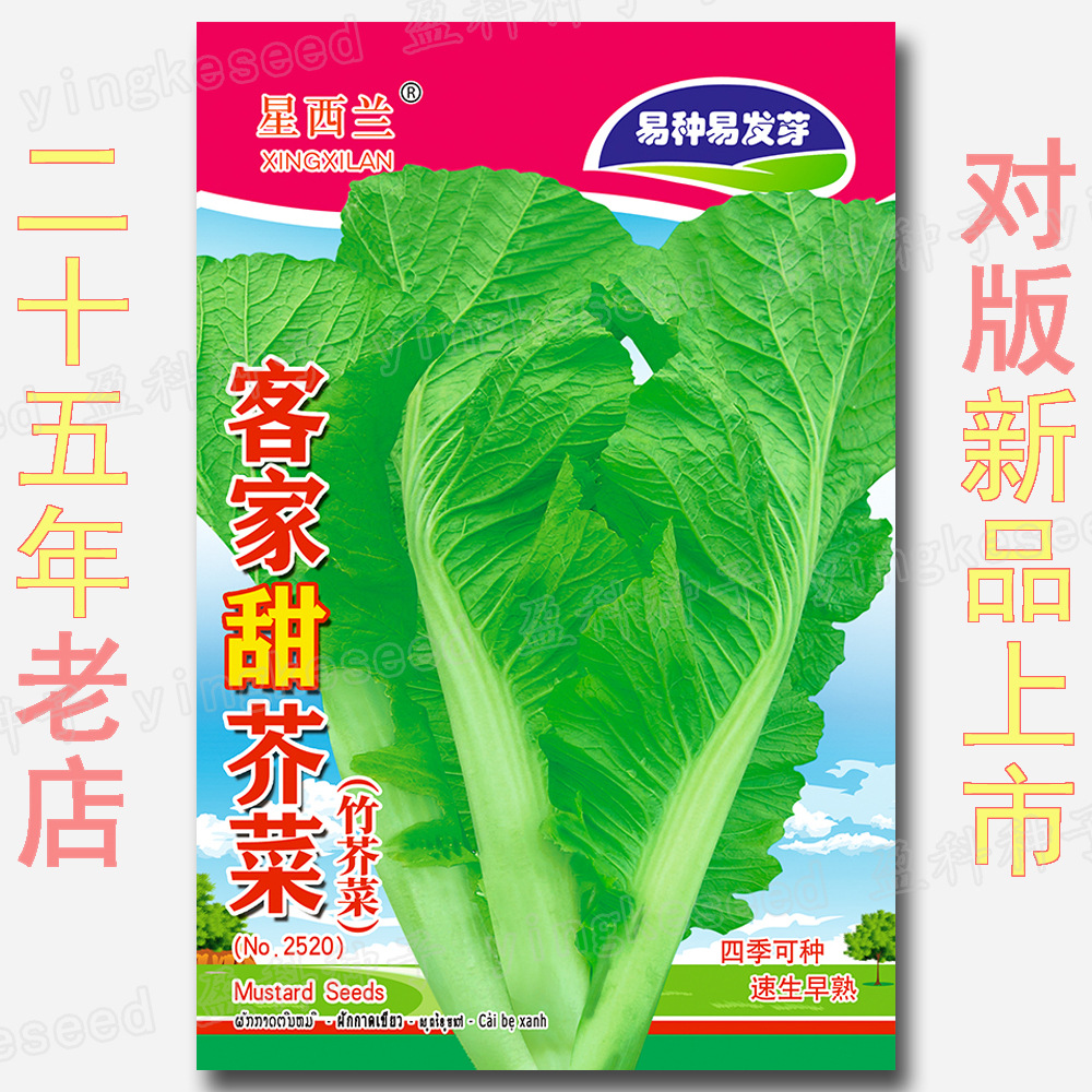 Hakka Sweet Bamboo Mustard Seeds 2g All Year Round Local Mustard Seeds Wholesale