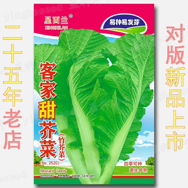 Hakka Sweet Bamboo Mustard Seeds 2g All Year Round Local Mustard Seeds Wholesale