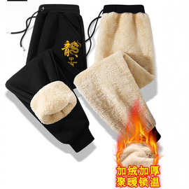 男羊羔绒裤秋冬青少年羊羔绒休闲裤冬卫裤学生加绒加厚保暖运动12