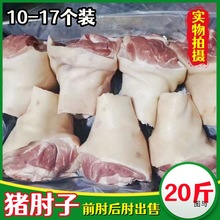 冷冻新鲜猪肘子 生猪蹄膀 猪后肘子 猪前肘子20斤箱 饭店餐馆食用