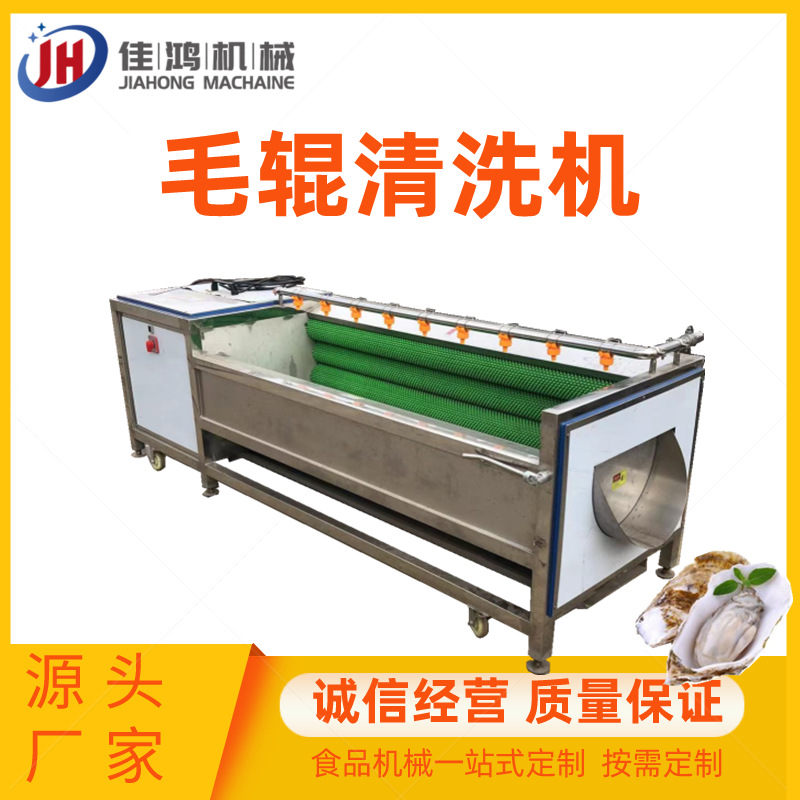 鲍鱼壳毛辊清洗机 红薯去皮清洗机 山药洋芋去皮去泥设备  佳鸿
