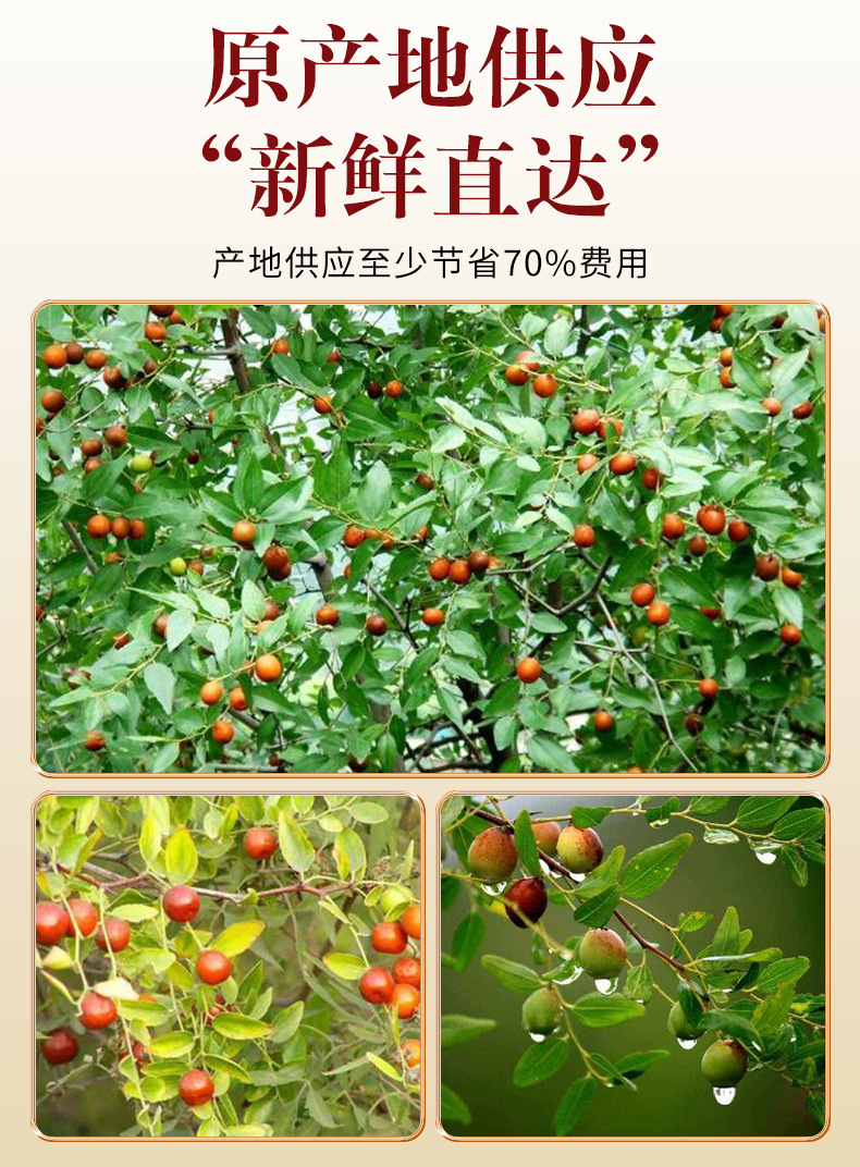 Stir-Fried Sour Jujube Seed Suan Zao Ren 500g Wild-Harvested Herbal Tea Seeds specifications
