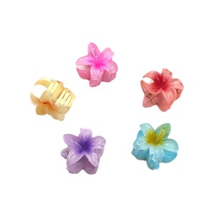 �羳���R�d4cm�u����ץ�A�ǹ�ɫ������X�ױP�l���G�����~�A�l�