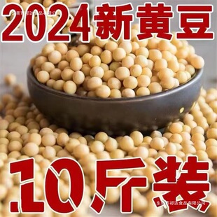 24�����S��5��10��|���S���r���ԷN��ȶ��{��ѿ���D�����
