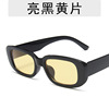 Trend brand sunglasses, glasses, suitable for import