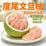 福建新鲜孕妇文旦柚