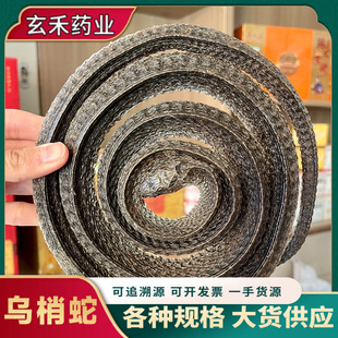 ��ș�Ğ��������l�����Ƭ���o�s�|����ă����l�Ĵ���������ș��