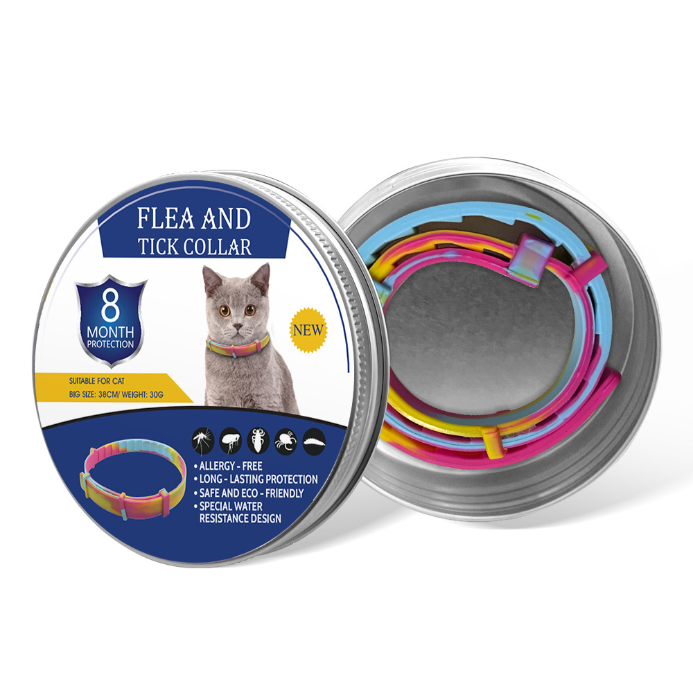 컬러 고양이 디자인 선물 세트