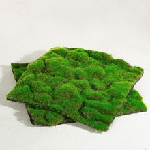 ����̦�\�쾰��̦�Gֲ��ƺ�zӰ�h���쾰�b�diy����ֲ�q��Ƥ�|��