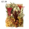 A5-38