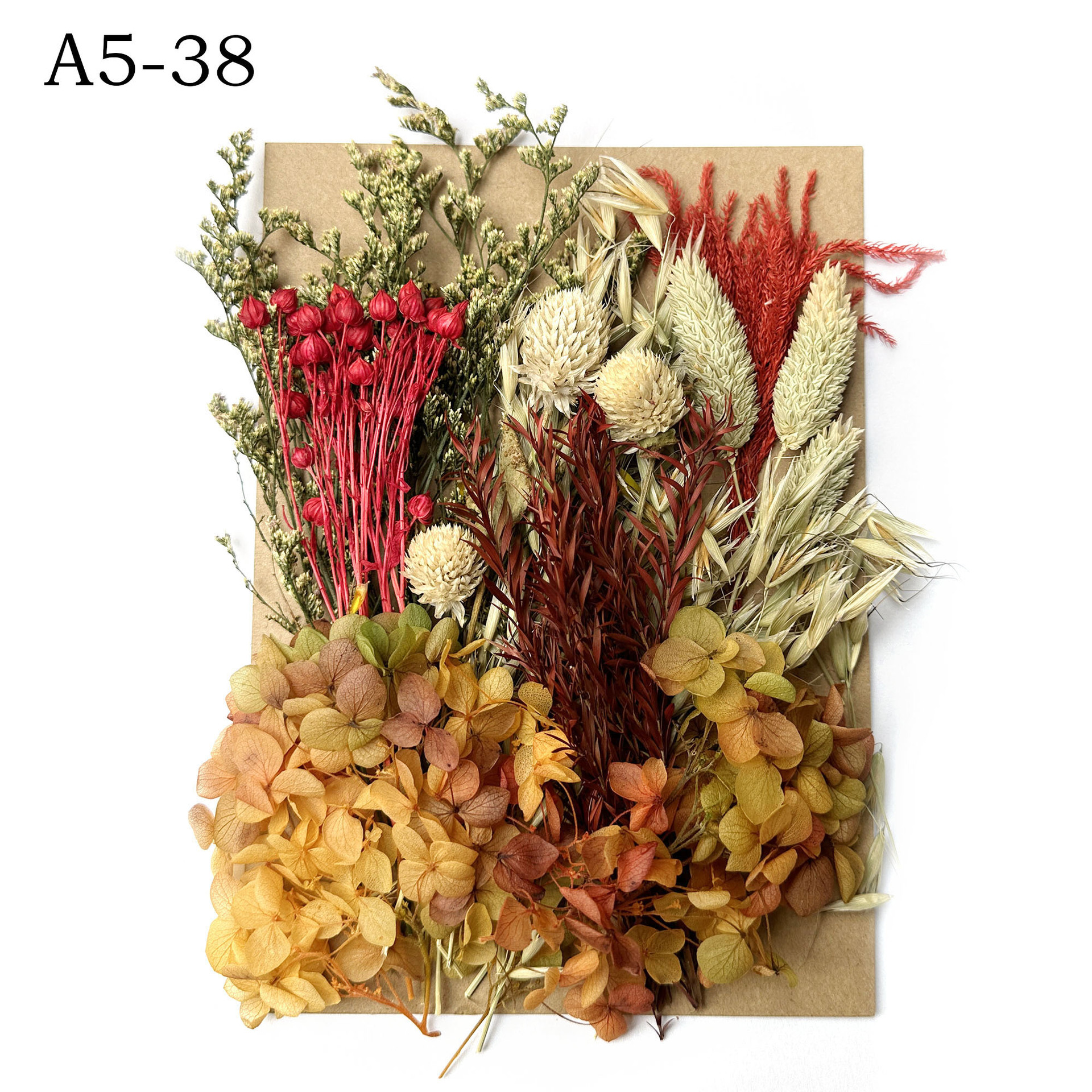 [Paquete de material de estampado A5] Flor seca flor eterna marco de fotos paquete de material de estampado DIY flor aromaterapia vela flor seca