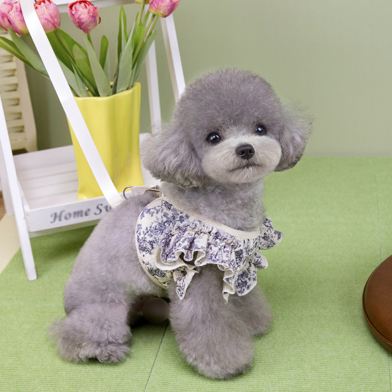 宠物服装小型犬狗衣服猫咪秋冬保暖舒适新款批发23加厚棉纱胸背|undefined