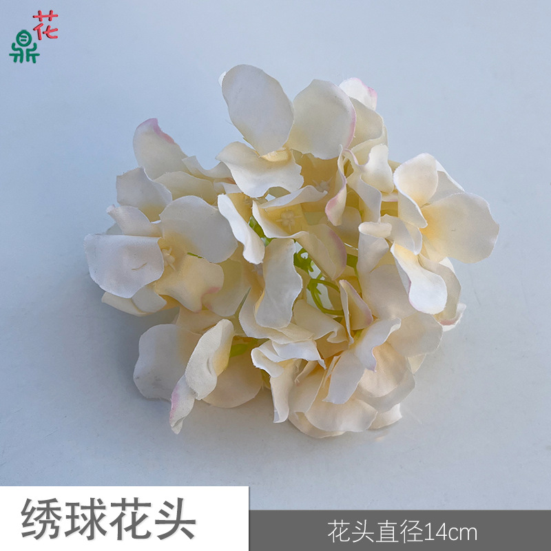 67 수국 머리 YY 샴페인