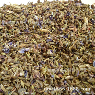 �����h������ș�Ĳ�Ѭ��ǲ�Ⱦɫ��