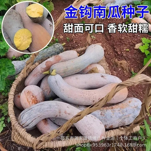 ��Ʒ���h�ϹϷN�����Ŵ����ͥԺ �S���ϹϷN���Ϲ�Ʒ�N��ȫ�߲�