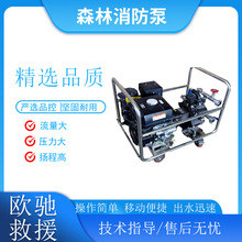 LS-1000ɭ����������늆��Ӹ߉�ˮ�ÿ��ʽ�ě_���L�乩ˮ��