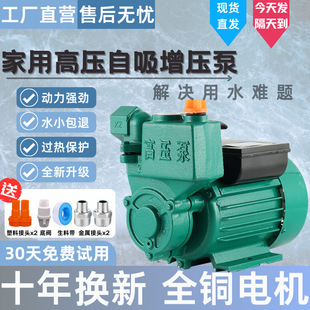 Household Fully Automatic Silent Booster Pump Tap Water Pump Water Pump Self-Priming Pump Water Heater Bath