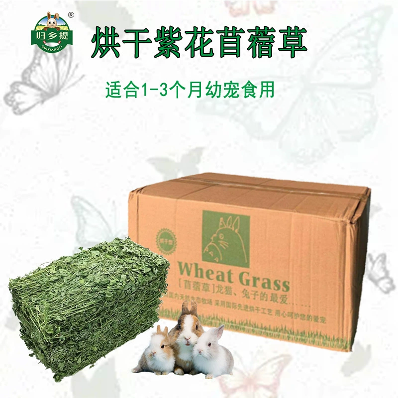 Специальные продукты для домашних кроликов, морских свинок, измельчения зубов, 25-летний, альфефа, смешанные хомяками из высокого волокна, молодых кроликов в кроликах.