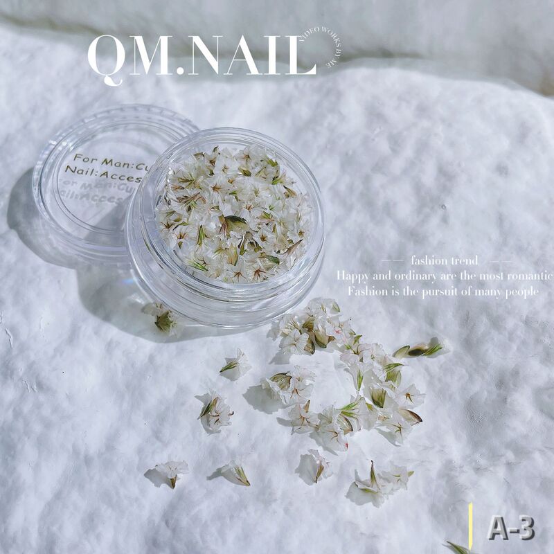 Green Japanese ins style nail art dried flower oil painting color matching small flower mixed diy material nail jewelry wholesale