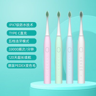 adult Sonic Electric toothbrush Soft fur intelligence Electric toothbrush usb charge source factory