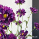 Simulation of 3 Quality Gem Cornflower Photography Props Shop Beautiful Chen Fake Flower Home Living Room Dining Table Flower Art
