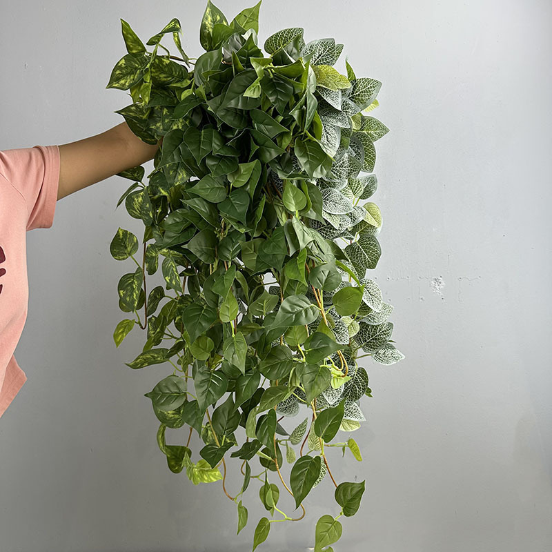 模擬ポトス籐アイビー植物壁装飾壁掛け籐蔓模擬植物ベゴニア壁掛け|undefined