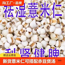 薏仁米薏米仁新货贵州薏仁米可搭配赤豆红豆五谷杂粮粗粮油煲汤
