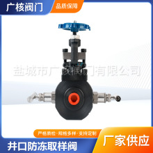 阀门厂家批发 井口防冻取样阀 加厚材质多种规格防冻取样阀