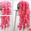 Dark pink hydrangea