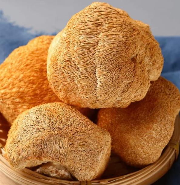 Dried Lion's Mane Mushroom Hou Tou Gu Hericium erinaceus Whole Dried Culinary Mushroom 100g overview