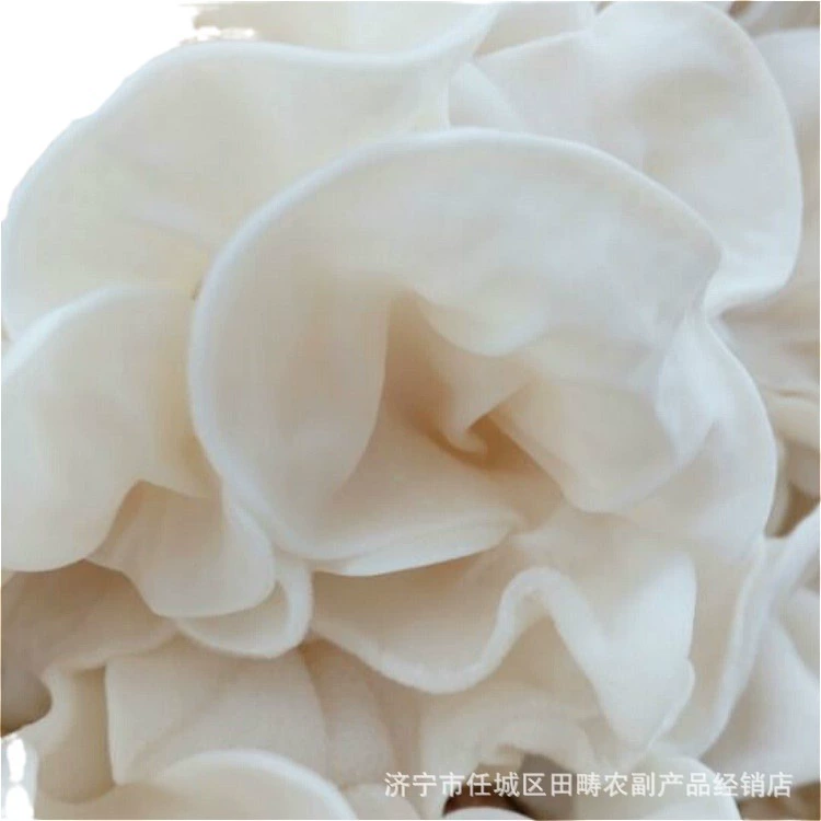 Массовый белый гриб полный сушеный продукт съедобный гриб обработанный гриб гриб съедобный гриб бамбуковый гриб