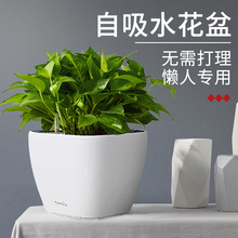方形懶人自動吸水花盆免澆水綠蘿多肉植物白色大小號儲水塑料花器