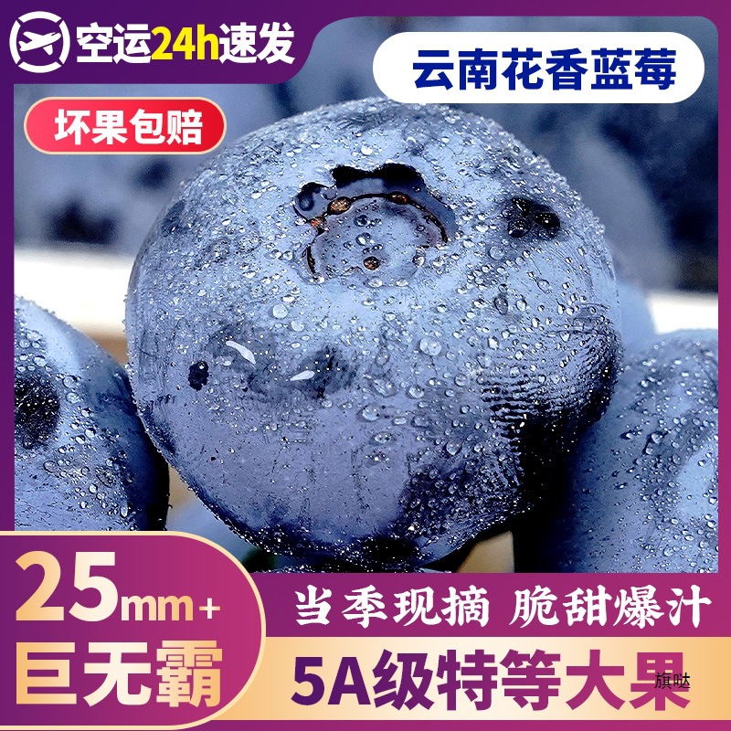 Yunnan Blueberry Fresh Fruit Large Gift Box Seasonal Mountain L25 Fragrant Fresh Fruit Pregnant Women Fresh Blueberry Whole Box