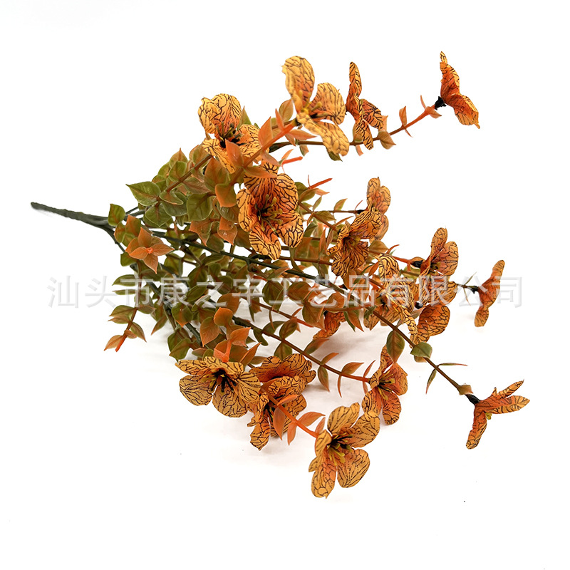 유칼립투스 보라색 가을 잔디 가을 노란색 꽃