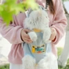 Sunflower function cat backpack