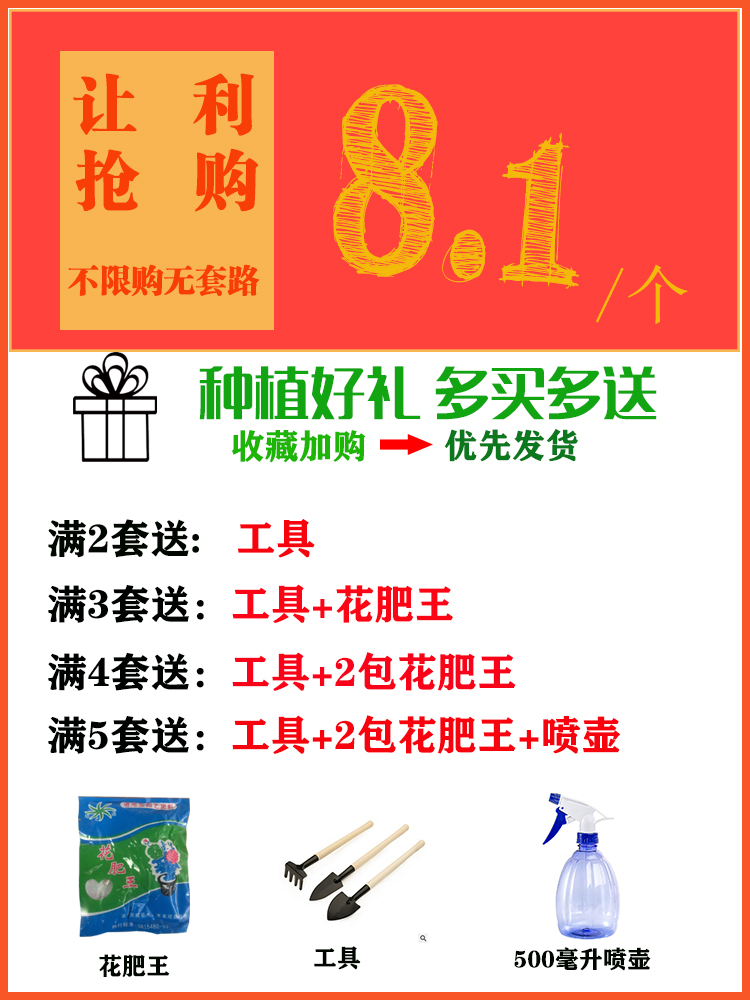 花盆塑料北欧简约大阳台种菜盆长方形家庭树脂草莓盆栏杆花架