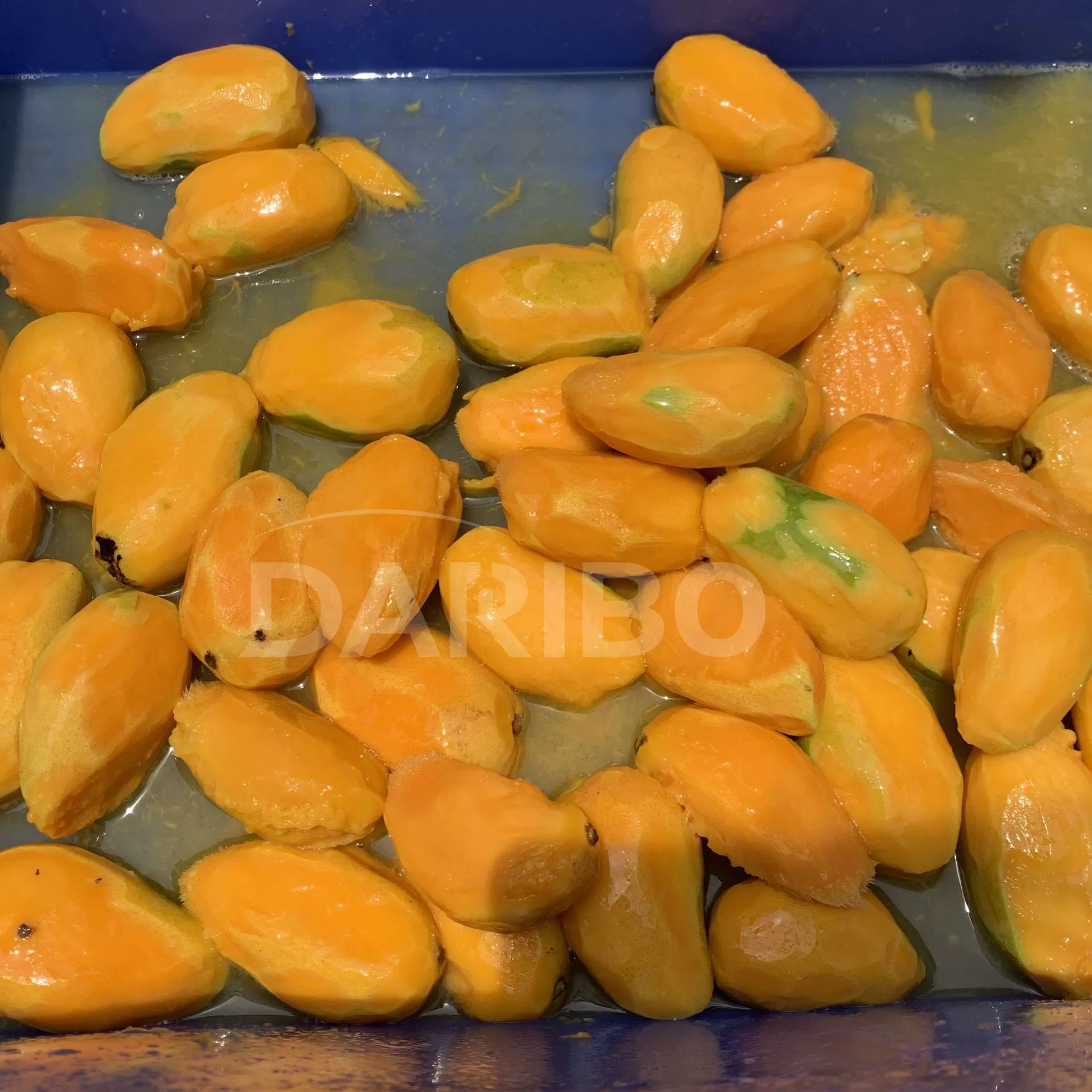 L Фабрика Прямая продажа картофельная машина для очистки картофеля Коммерческая машина для очистки сладкого картофеля Автоматическая машина для очистки большого картофеля