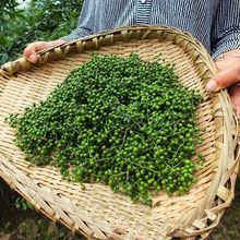 ���r�໨���ٽ�������~�໨��������r�����Ĵ��ؑc�خa�齷