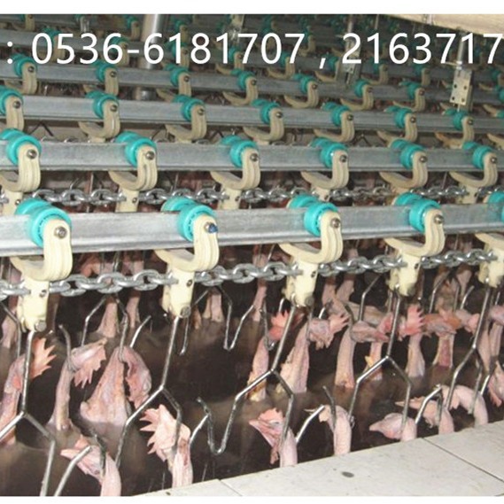 供应厂家直销 鹌鹑宰杀流水线 鸡鸭鹅家禽屠宰生产线整套设备