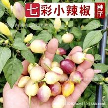 ߲N VʽN 콷N ݽļϷ̨߲