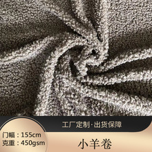 小羊卷 卷毛绒 土耳其羊绒 服装沙发面料 时尚大衣皮毛一体绒