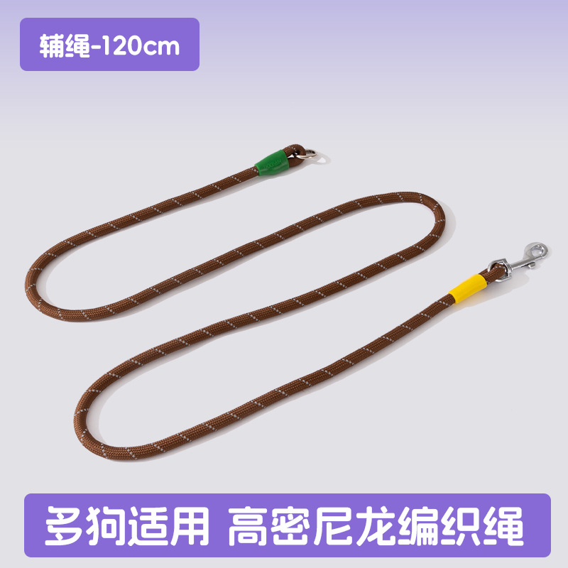 Los perros salen, perros pequeños y medianos, contraste de moda, uno arrastra tres, cuerda de tracción, muchos perros paseando a su perro, cuerda para perros, suministros para perros