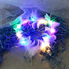 led�����~���� С�ʟ��{���W���ɫ�l�⻨����С�׺��{���Շ���