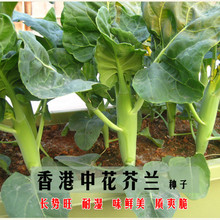 ����л����{�N�Ӳ�޷�։��w�S�ٿڸд����＾�׻��ļ����m�N����