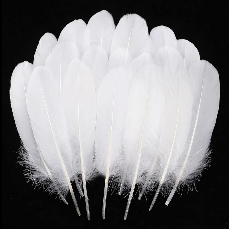 Goose Feather Hard Large Floating Feather Fluffy Dream Catcher Cat Teaser Wand Ornament Accessory Lamp