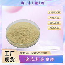 南瓜籽蛋白粉60% 南瓜子蛋白坚果蛋白植物蛋白 现货销售