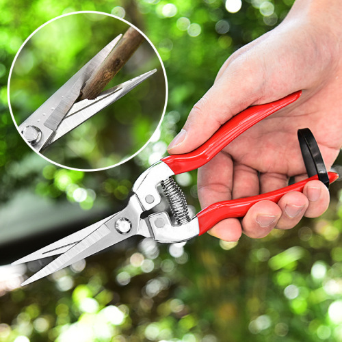 Stainless steel pruning shears, grape pruners, garden fruit pruners, flower branch pruners, citrus, vegetable and fruit picking pruners